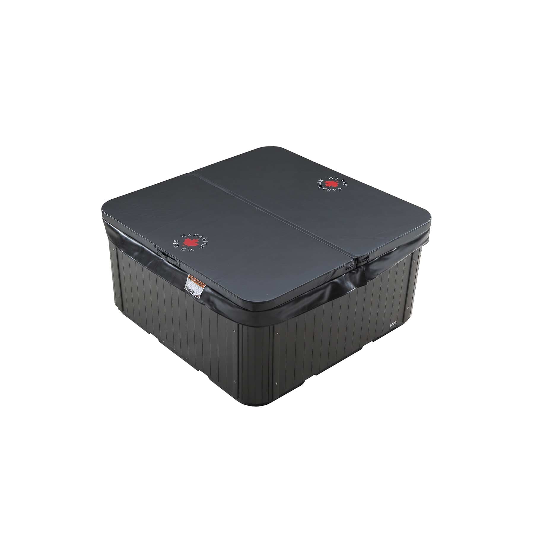 Canadian Spa Saskatoon 4 Person 12 Jetted 1 kW Spa Pool - Image 4