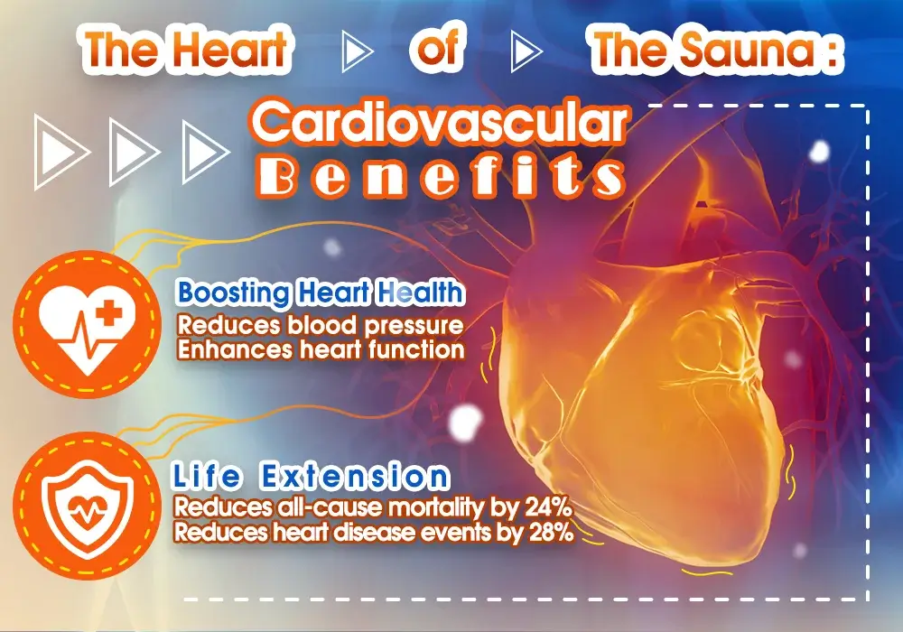 The Heart of the Sauna- Cardiovascular Benefits