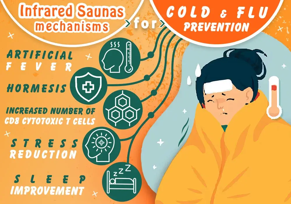 Infrared Saunas mechanisms for Cold & Flu prevention