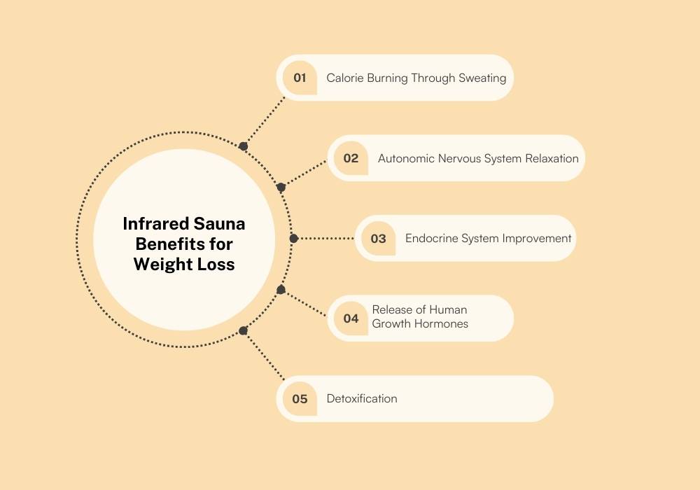 How does sauna cause weight loss